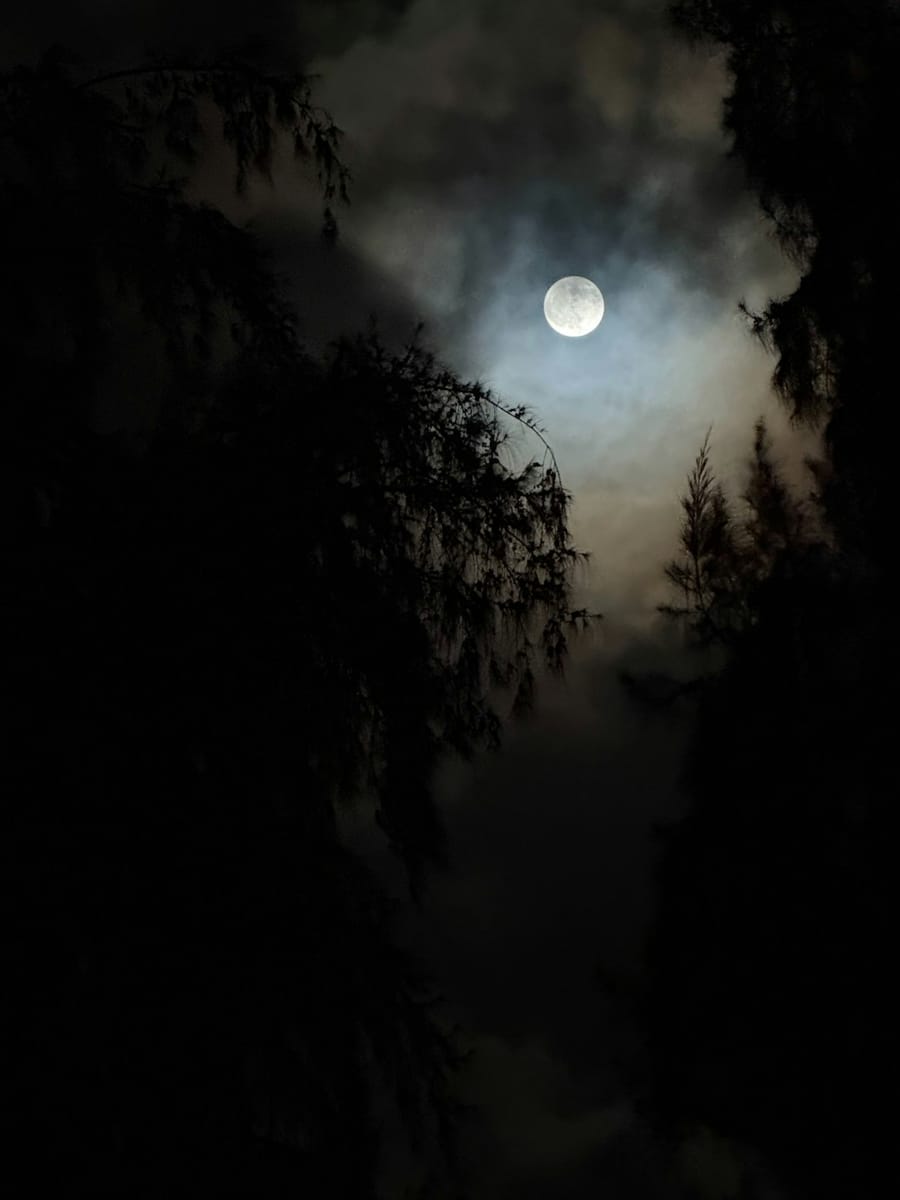 诗与思：月夜对语 - jTw2-l3MqBI