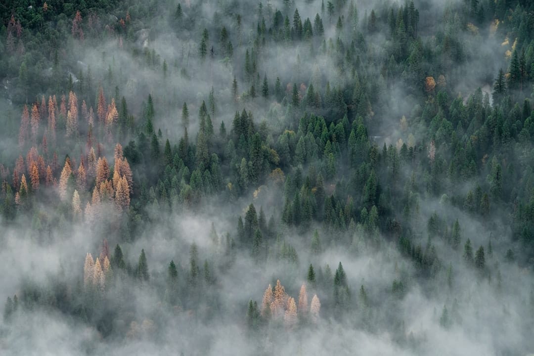landscape - 89PFnHKg8HE
