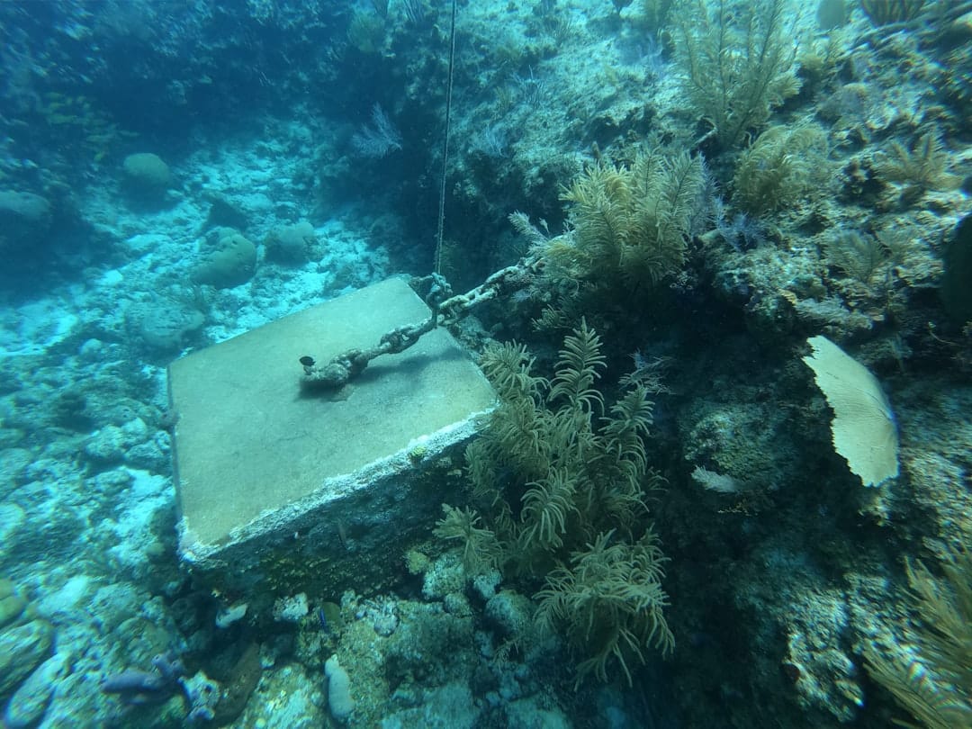 海底 1