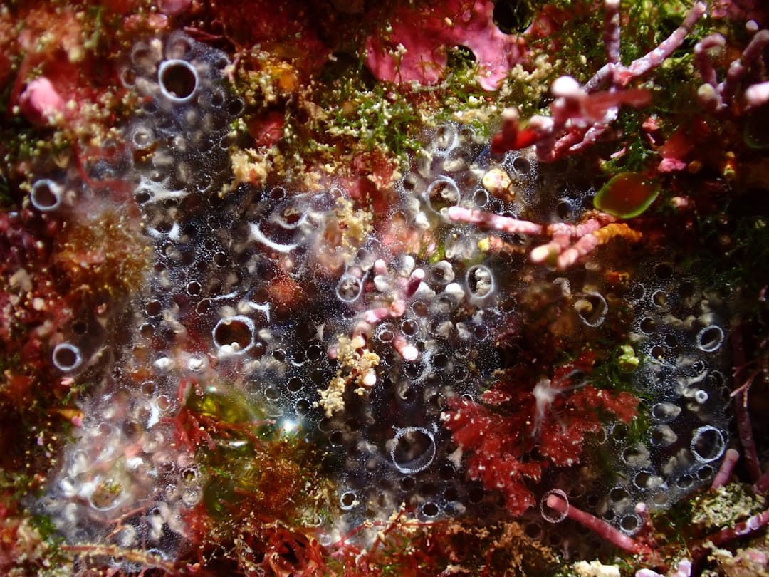 海底 4