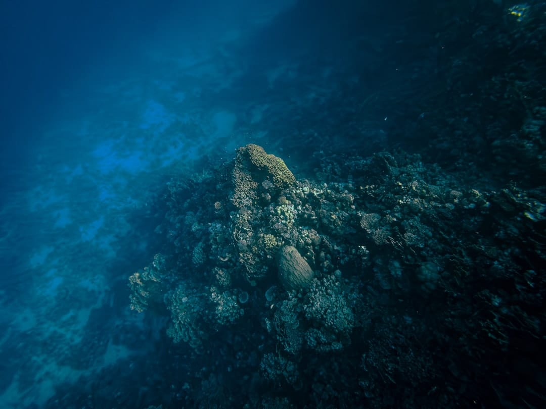 海底 5